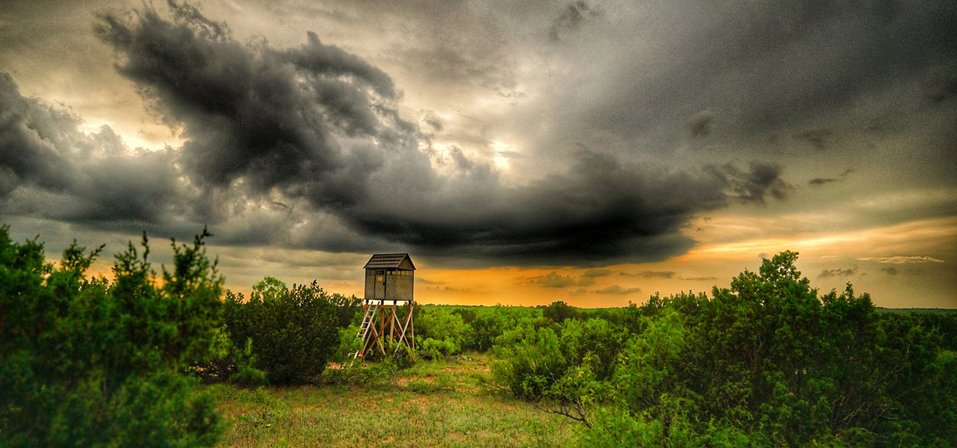 Customer Reviews - The Antler Shed Deer Blinds